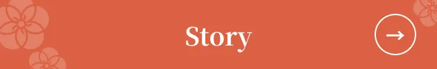 Story